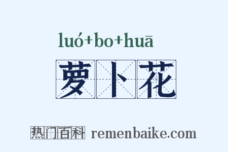 萝卜花是什么意思的图片